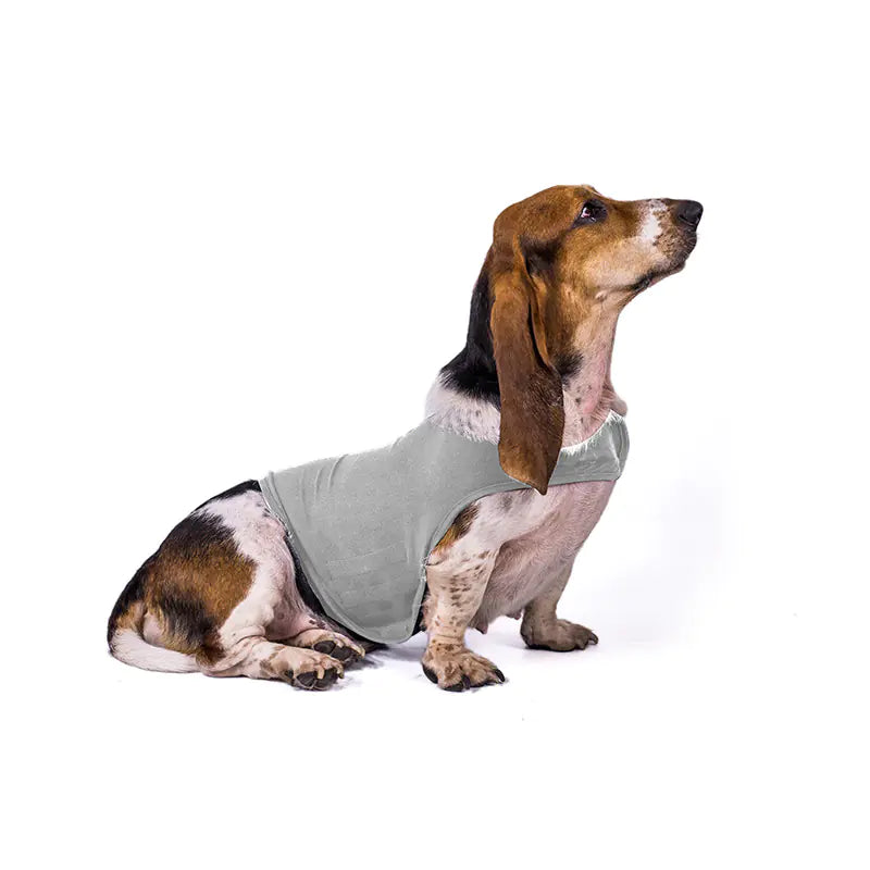 Anxiety Relief Jacket Vest for Dogs